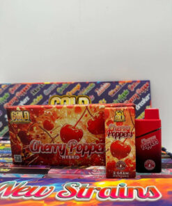 gold coast clear disposable