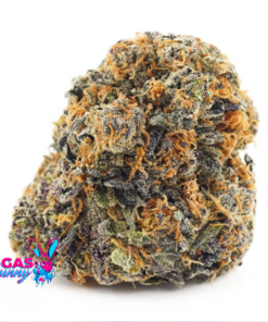 buy greasy pink kush