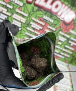 pillows by snooze rose edition