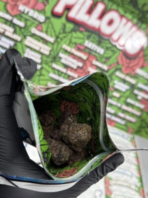 pillows by snooze rose edition