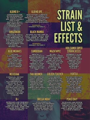 magic truffles psychedelic mushroom