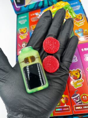 buddah bear 3 in 1 disposable