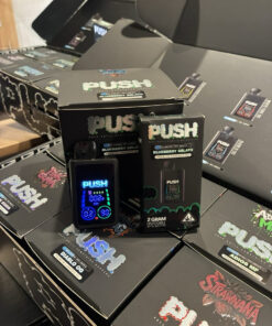 push 2g disposable with screen