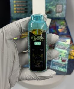 wavvy 2g flip disposable