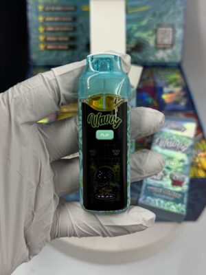 wavvy 2g flip disposable