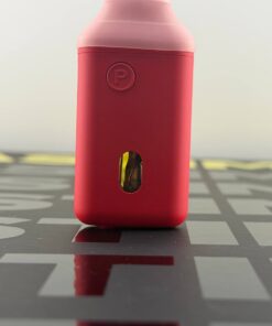 pastime disposable 2 gram