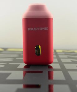 pastime 2g disposable