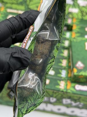 snooze pillows flower st patricks