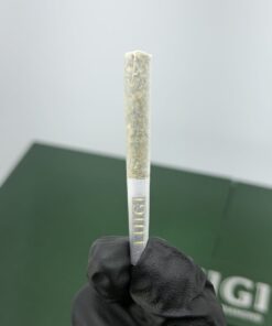 luigi v8 disposable + pre roll