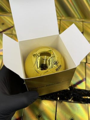 ace world champions 2g disposable
